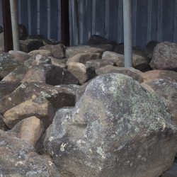 bush-rock