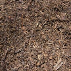 tea-tree-mulch