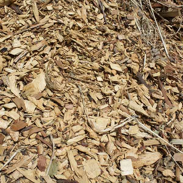 forest-mulch
